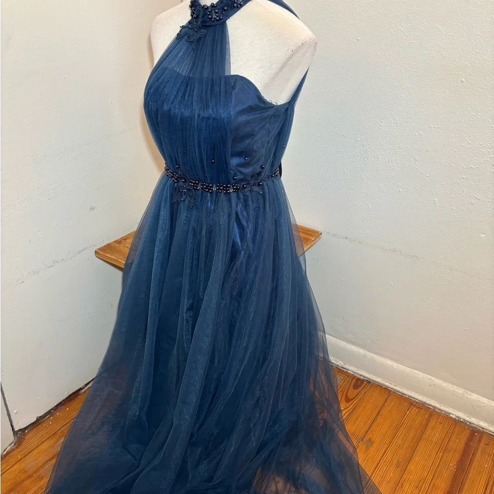 Gorgeous Jeweled Evening Gown Dress - Picture 11 of 16